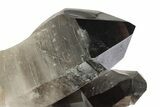 Smoky Quartz Crystal Cluster - Brazil #255395-2